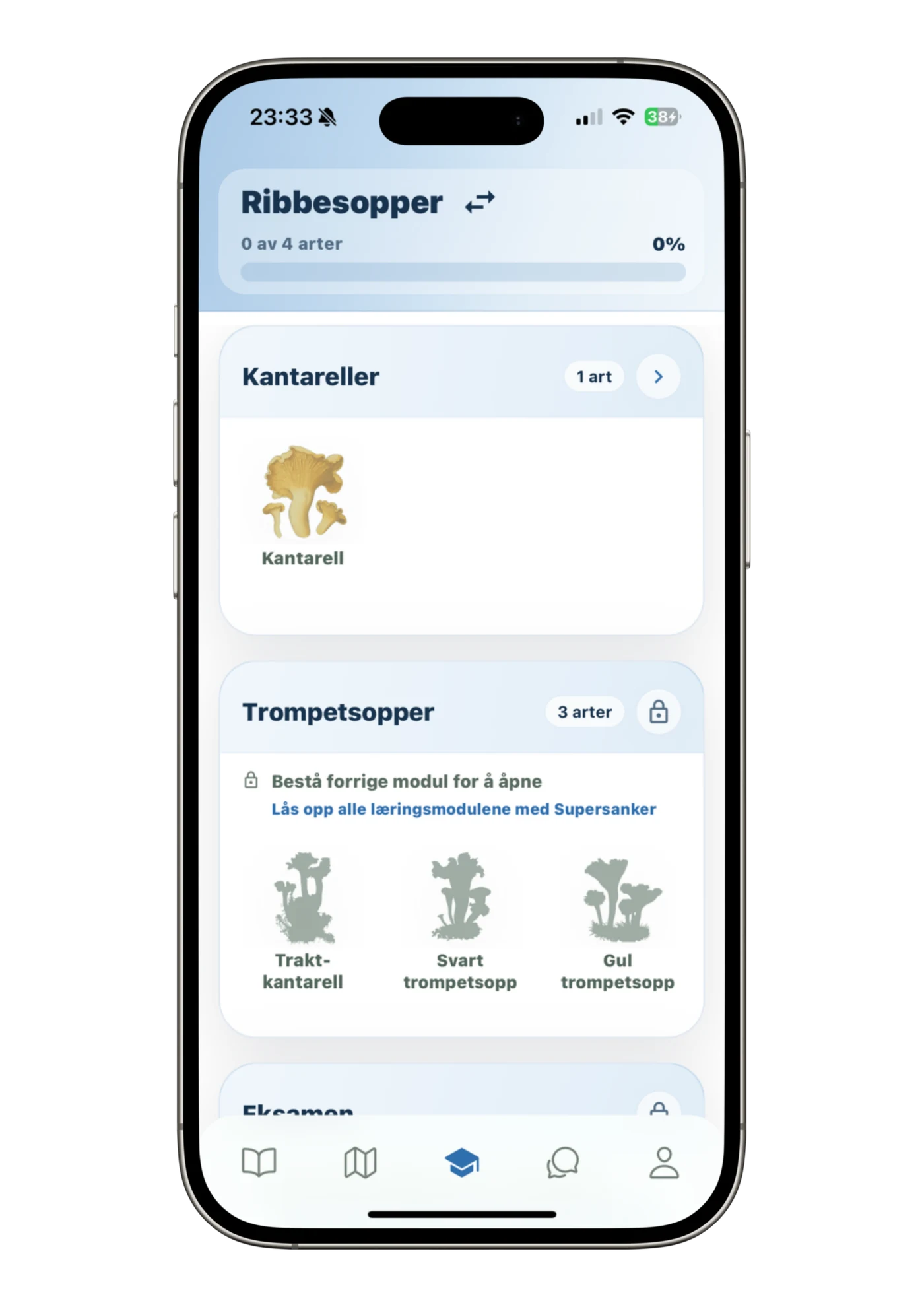 Læringssti for ribbesopper med kantarell og trompetsopper, artsbilder og fremdriftslinje.